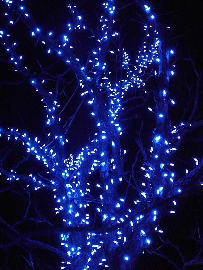 Holiday Glow Blue Photograph by Darren Robinson