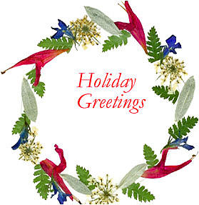 Holiday Greetings Photograph by Christine Lathrop