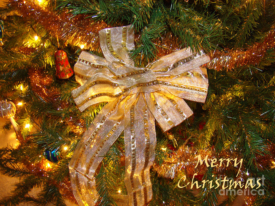 Holiday Greetings Photograph by Sue Melvin