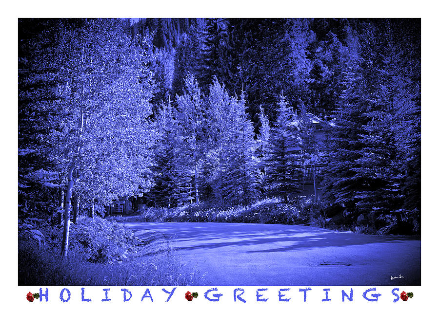 Holiday Greetings - Vail, Colorado Photograph by Madeline Ellis