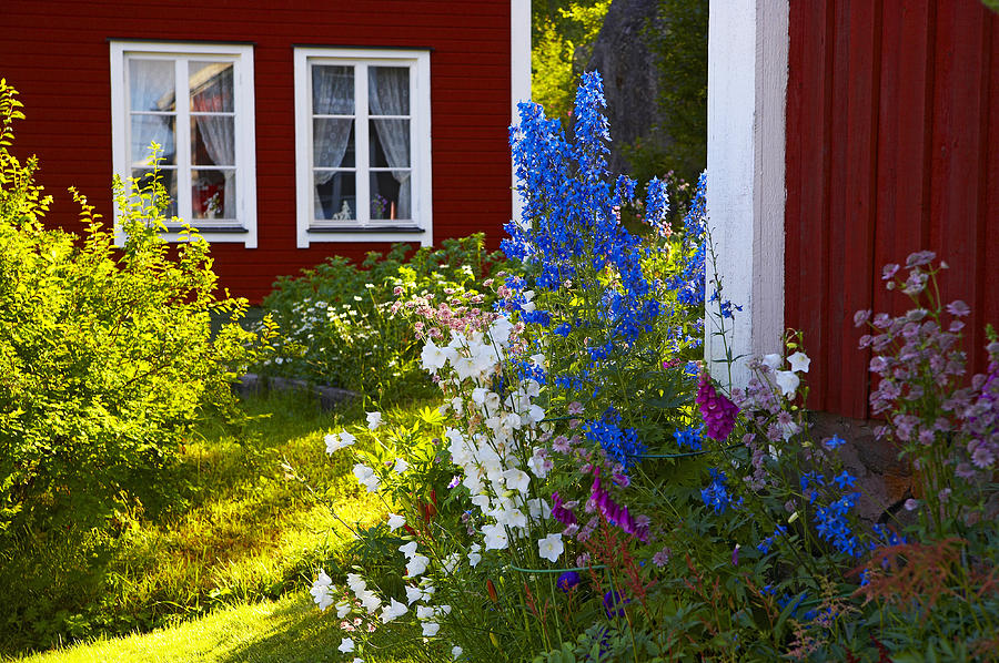 Holiday homes and flowers Photograph by Clu