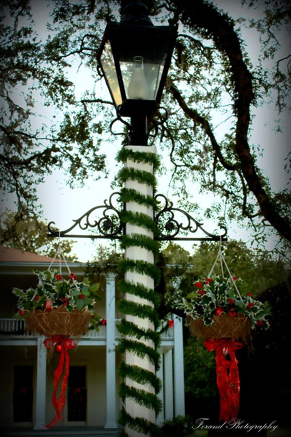 Holiday Lamp Post Photograph by Debra Forand