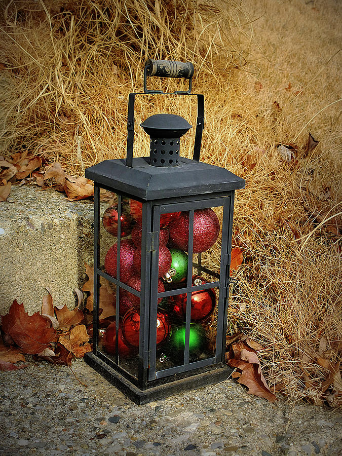 Holiday Lantern Photograph by Scott Kingery