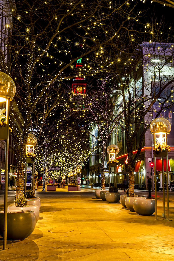 Christmas Photograph - Holiday Lights in Denver Colorado by Teri Virbickis