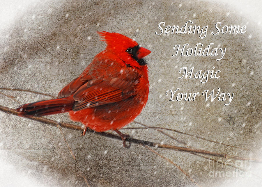 Winter Photograph - Holiday Magic Cardinal Card by Lois Bryan