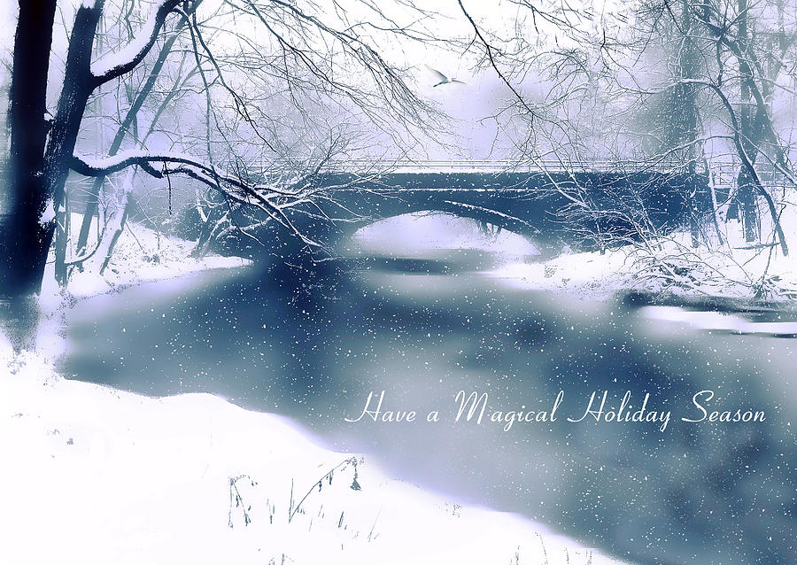 Holiday Magic Photograph by Jessica Jenney