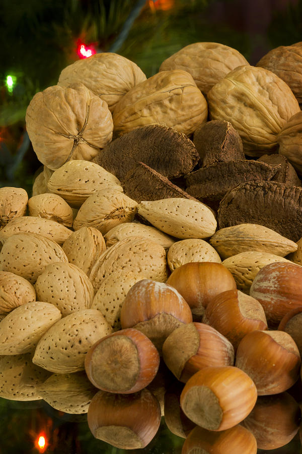 Christmas Photograph - Holiday Nuts by Mark McKinney