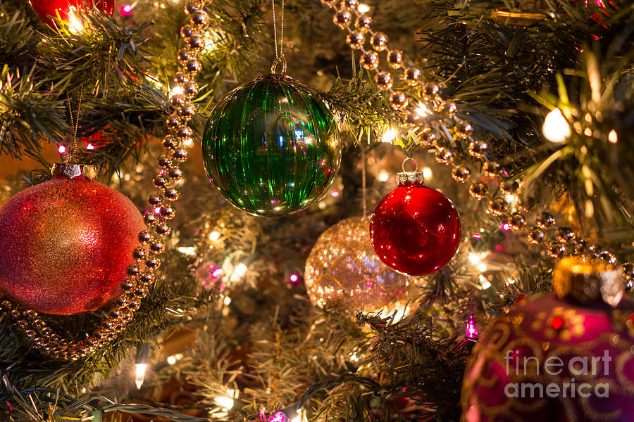 Christmas Photograph - Holiday Ornaments on a Christmas tree by Amy Cicconi