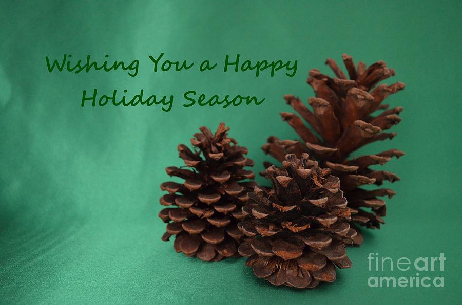 Holiday Pine Cones Photograph by Mary Deal
