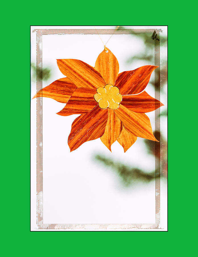 Holiday Pointsettia Art Ornament in Green Photograph by Jo Ann Tomaselli