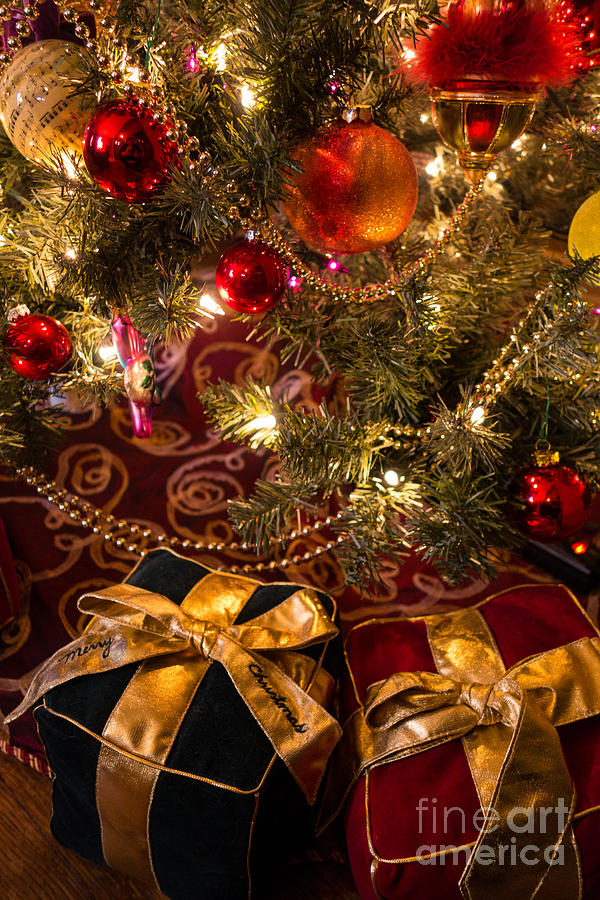 Holiday Photograph - Holiday presents under a Christmas tree by Amy Cicconi