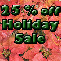 Holiday Sale Digital Art by Donna Walsh