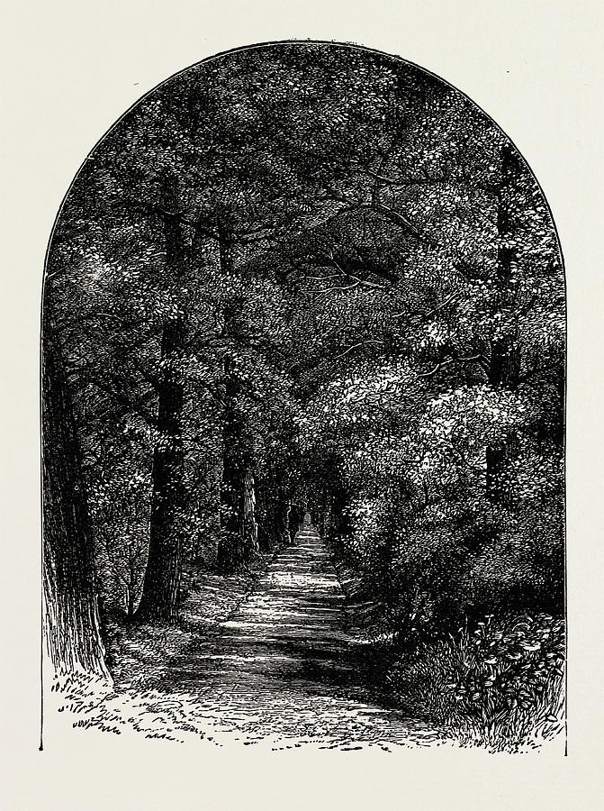 Holland House Drawing - Holland House, 1889 The Green Lane by Litz Collection