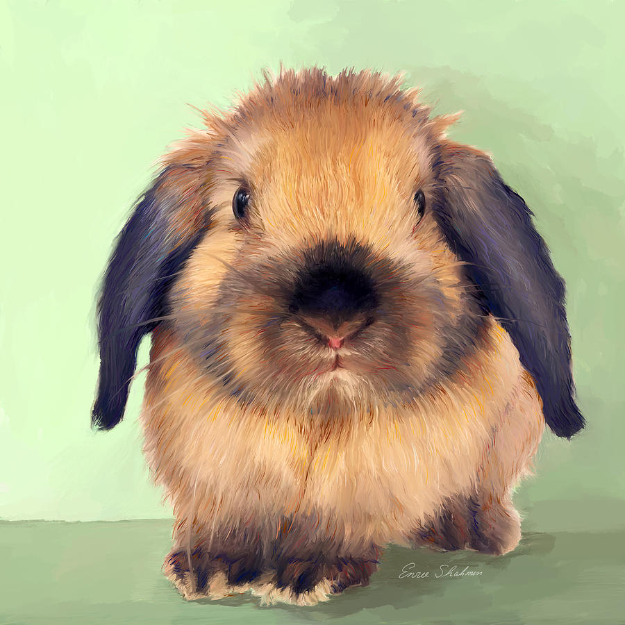 Holland Lop Painting by Portraits By NC