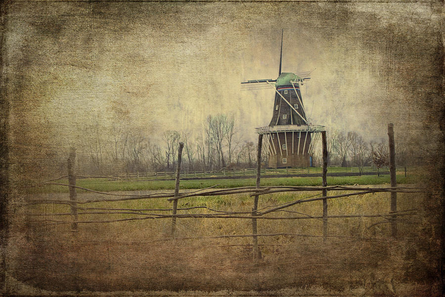 Holland Michigan DeZwaan Windmill Photograph by Randall Nyhof