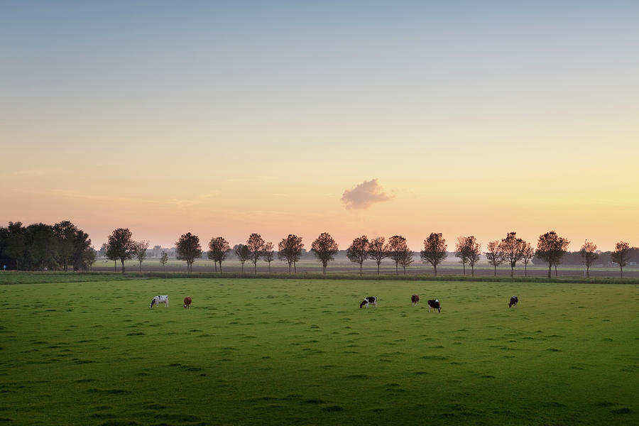 Holland Polder Photograph by Floortje