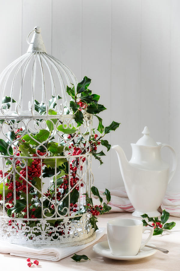 Christmas Photograph - Holly and Berries Birdcage by Amanda Elwell