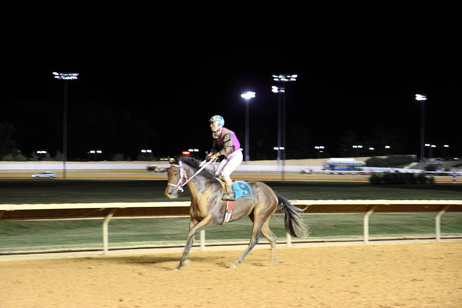 Hollywood Photograph - Hollywood Casino at Charles Town Races - 121224 by DC Photographer