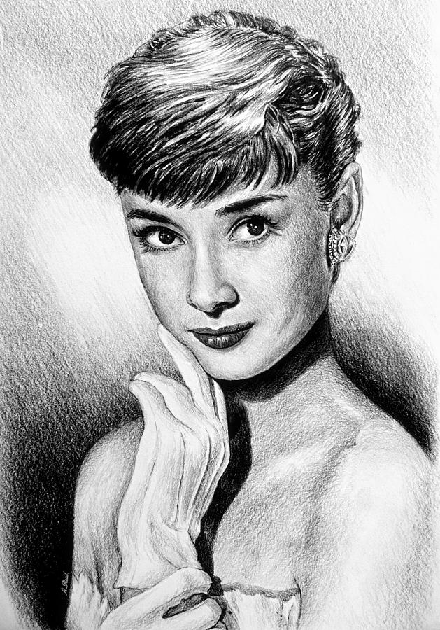 Hollywood Greats Hepburn Drawing by Andrew Read