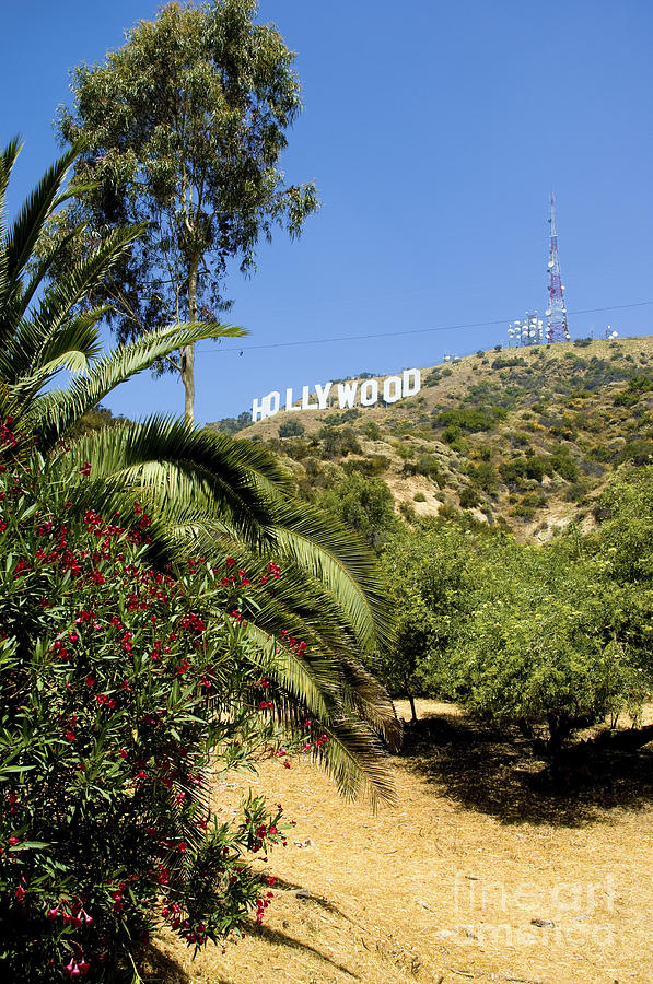 Hollywood sign 6 Photograph by Micah May