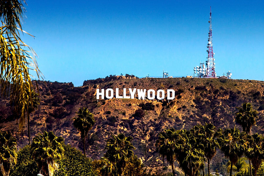 Hollywood Sign Photograph