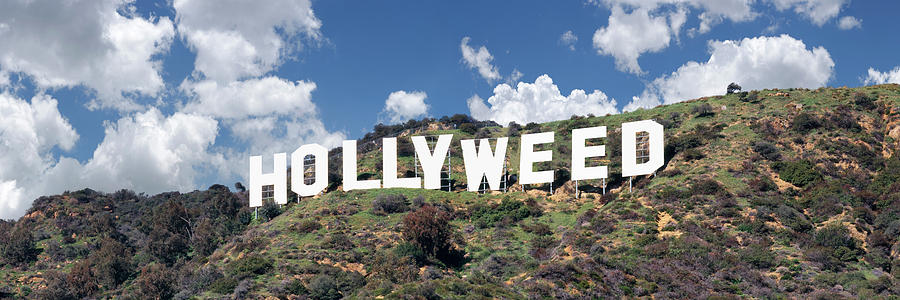 Los Angeles Photograph - Hollywood Sign Changed To Hollyweed by Panoramic Images