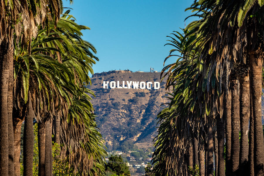 Hollywood Sign from Central LA Photograph by Eloi_Omella