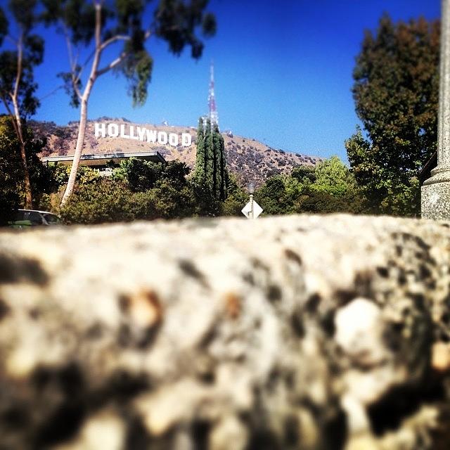 Tree Photograph - #hollywood #sign #la #upclose #cali by Thewinery Wine