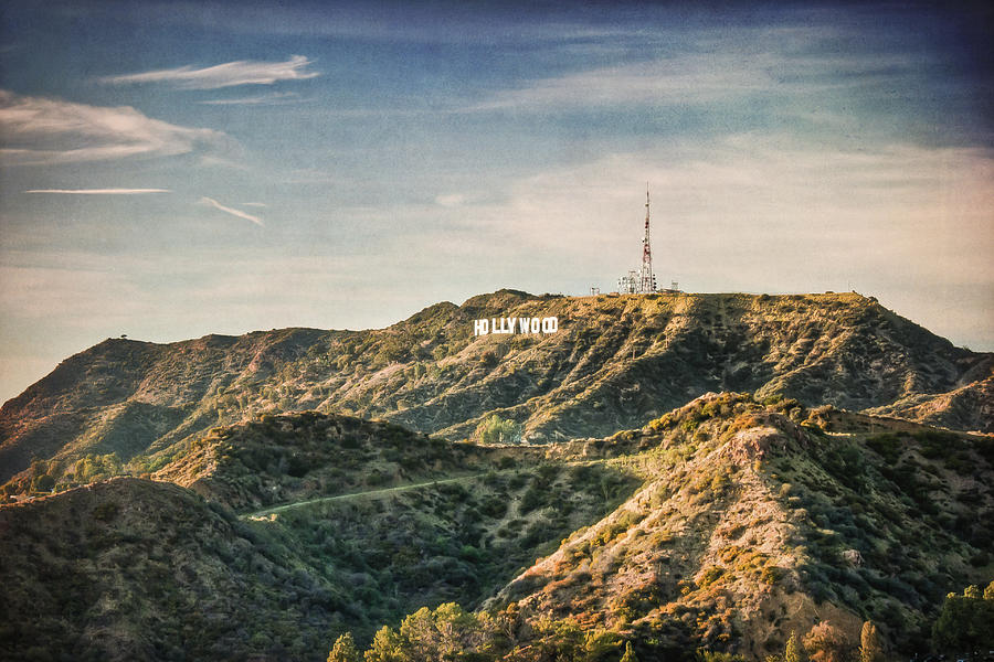 Hollywood Sign Photograph by Natasha Bishop