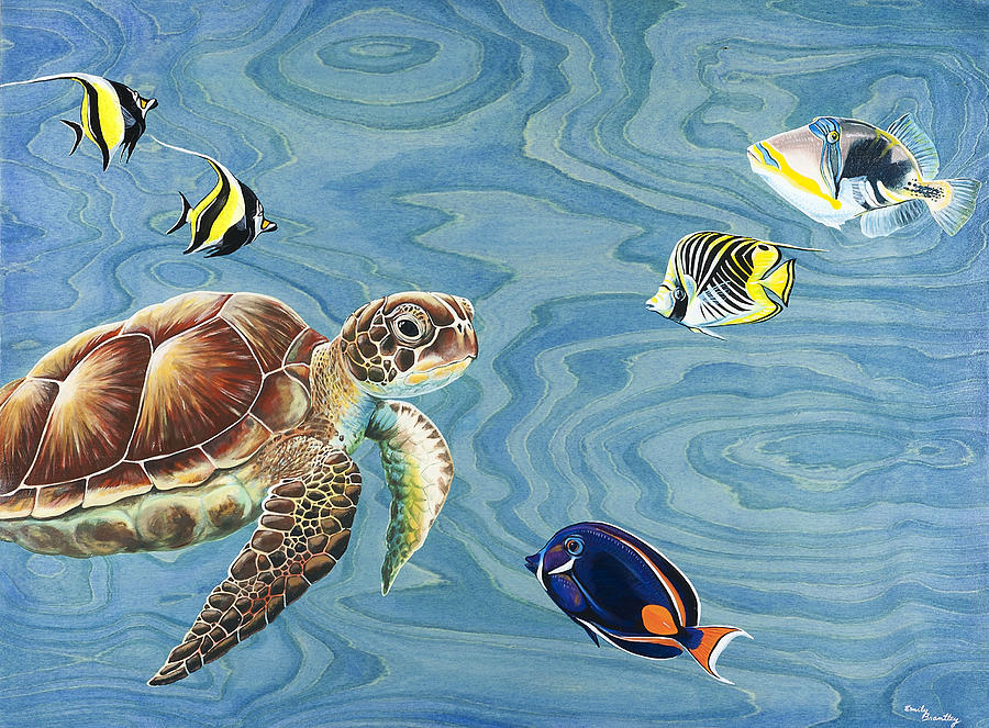 HoloHolo Sea Turtle Painting by Emily Brantley - Fine Art America