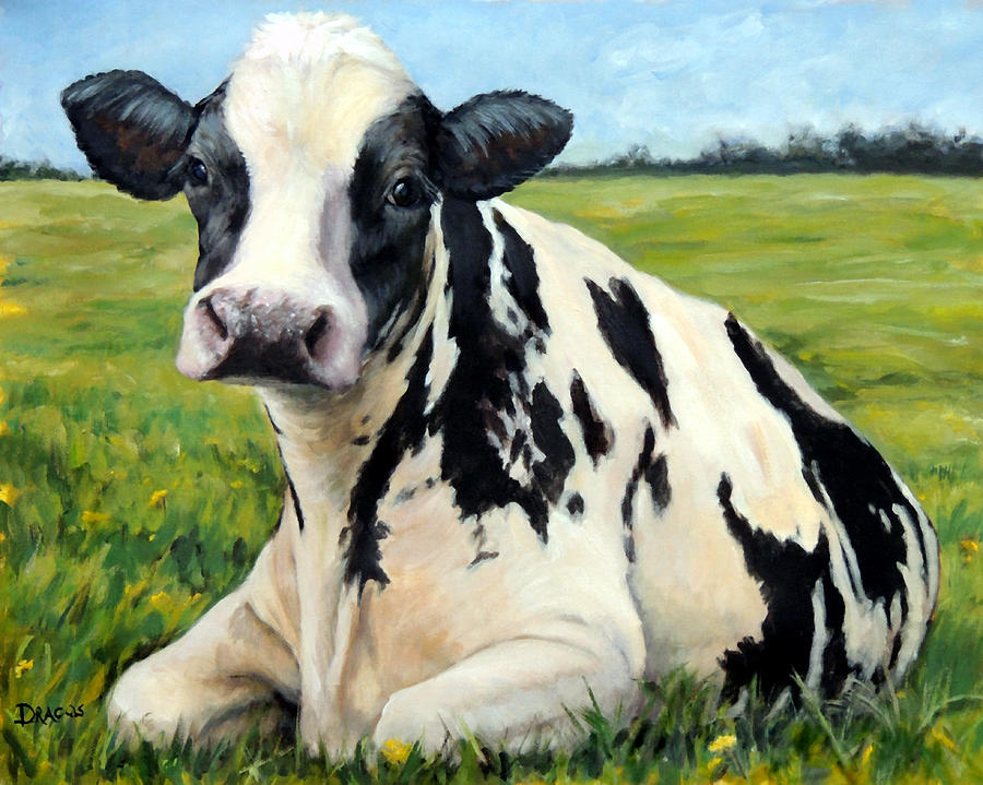 Farm Animals Painting - Holstein Cow Relaxing in Field by Dottie Dracos