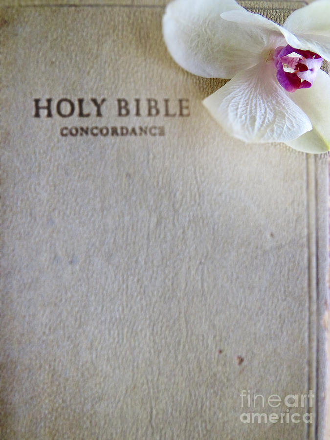 Holy Bible Photograph by Ella Kaye Dickey