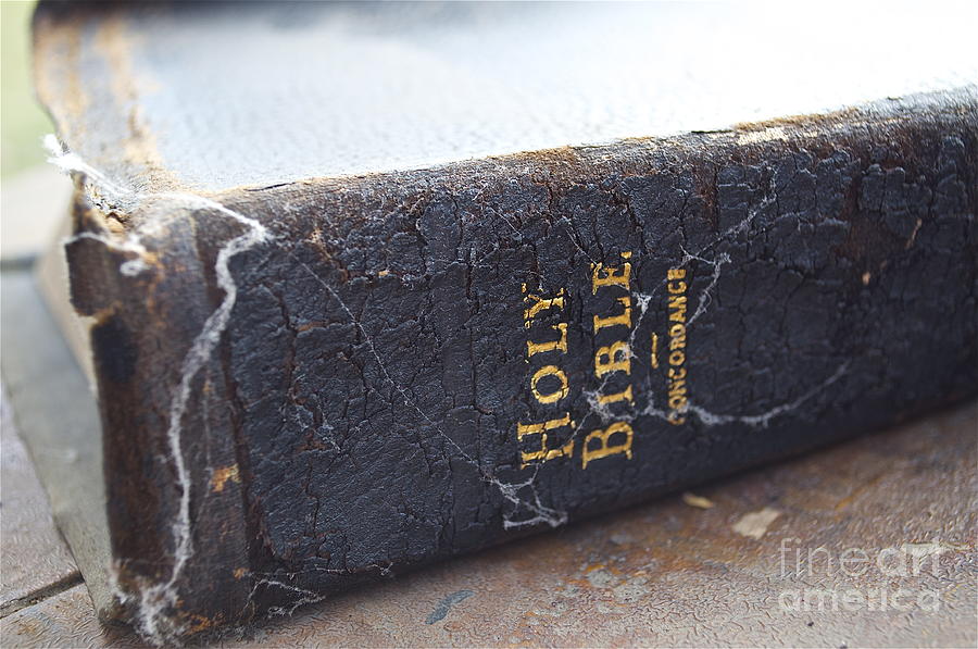 Holy Bible Photograph by Gwyn Newcombe
