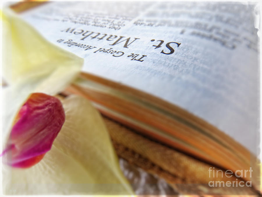 Nature Photograph - Holy Bible - the Gospel according to Matthew by Ella Kaye Dickey