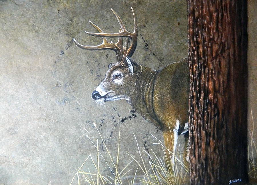 Deer Painting - Holy Crap by Stan White