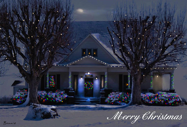 Home for Christmas Photograph by Bonnie Willis