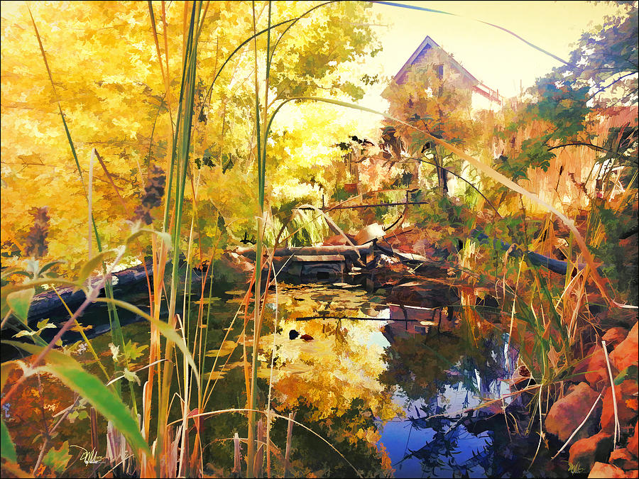 Home Garden and Pond Painting by Douglas MooreZart