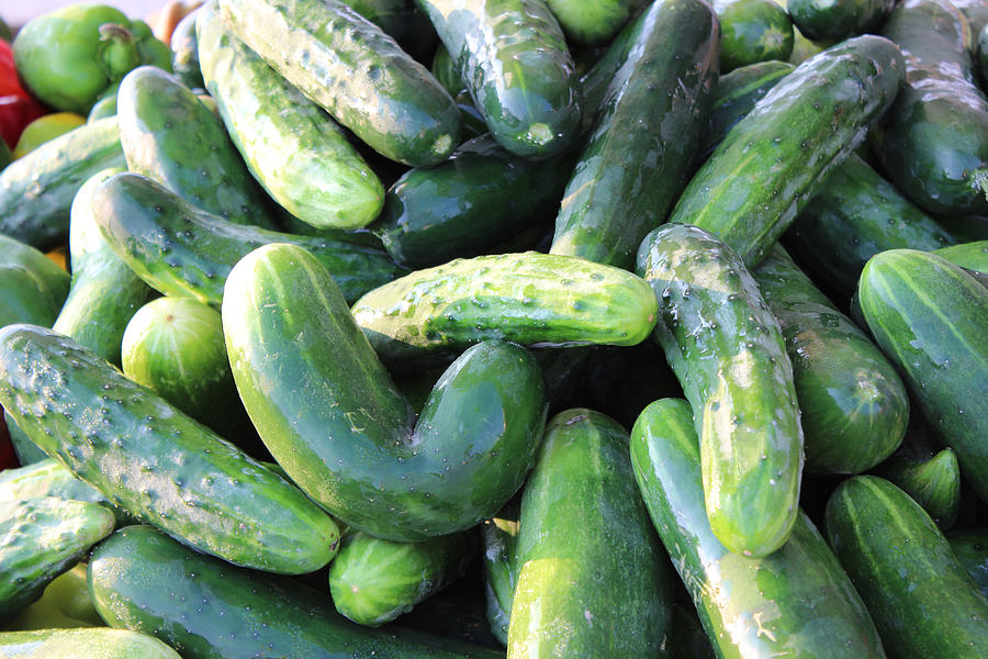 Home-Grown Cucumbers Photograph by Lena Wilhite