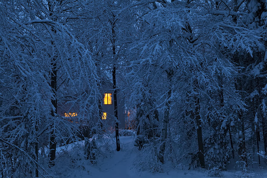 Winter Photograph - Home In Snowy Woods by Alan L Graham