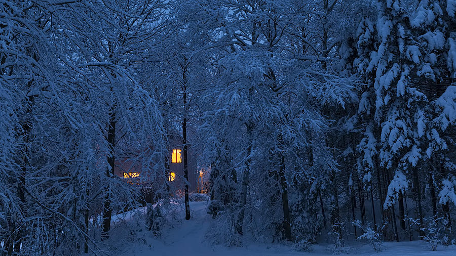 Home In Snowy Woods Panorama Photograph by Alan L Graham