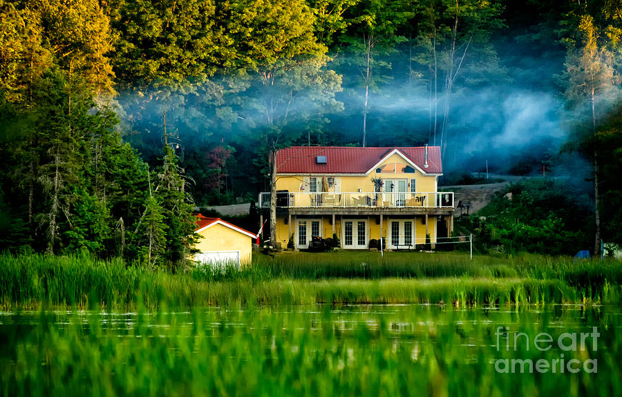 Tree Photograph - Home In The Woods by Les Palenik