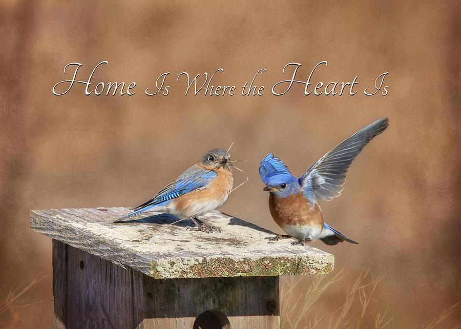 Home Is Where the Heart Is Photograph by Lori Deiter