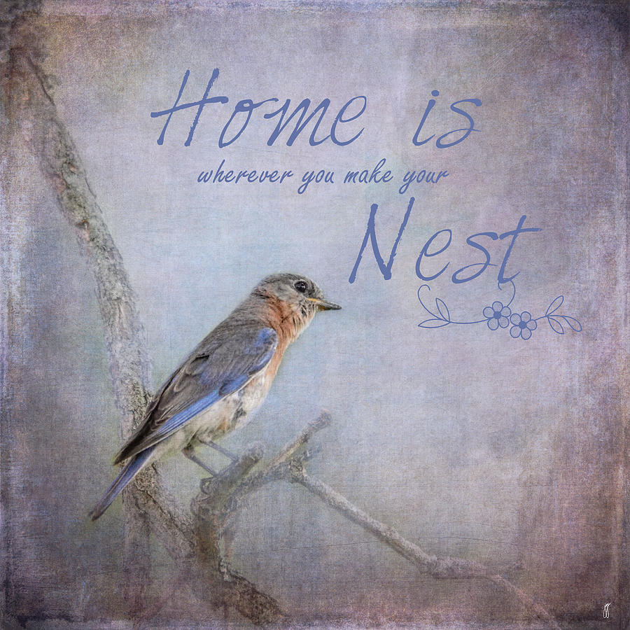 Home is Wherever You Make Your Nest Photograph by Jai Johnson