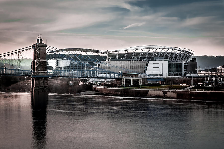 Home of the Bengals Photograph by Ron Pate