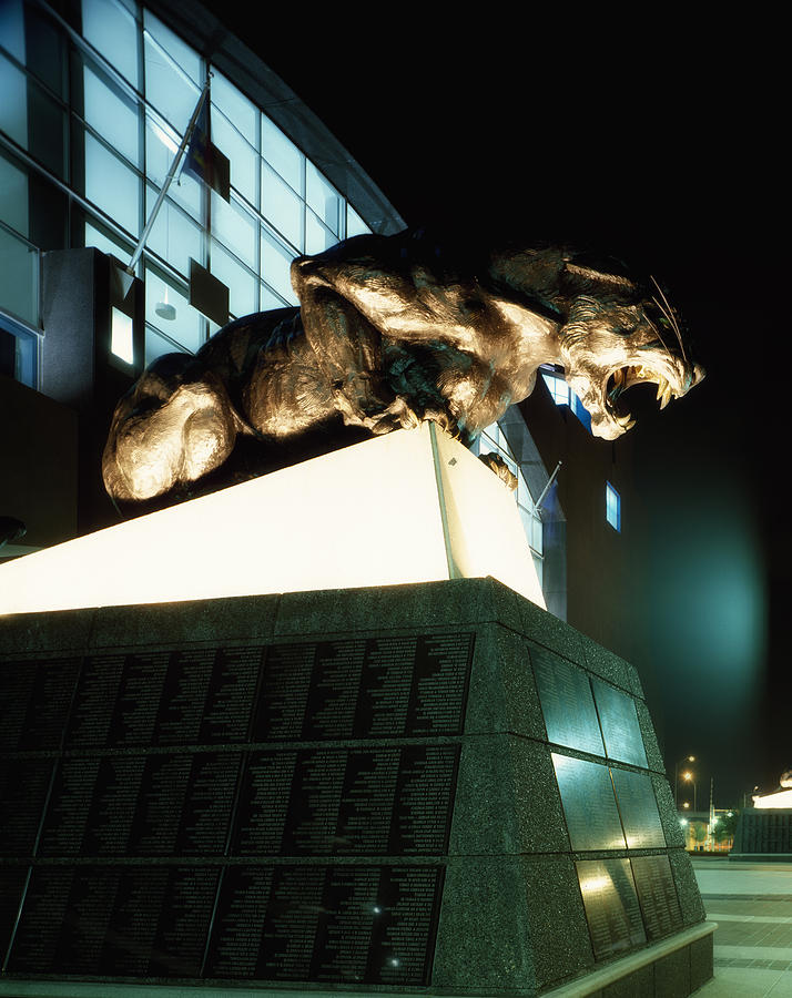Carolina Panthers Photograph - Home of the Carolina Panthers by Mountain Dreams