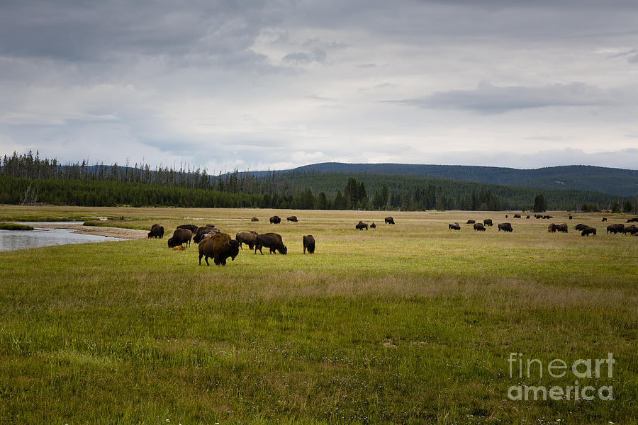 Home on the Range Photograph by Belinda Greb