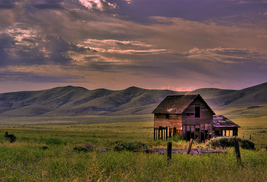 Home on the Range Photograph by Dale Stillman