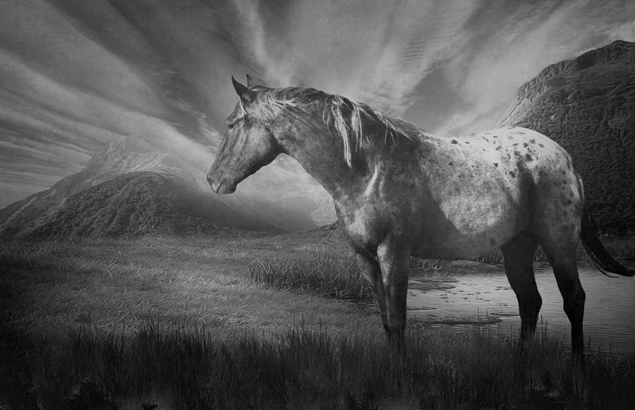 Black And White Mixed Media - Home on the Range by Davandra Cribbie