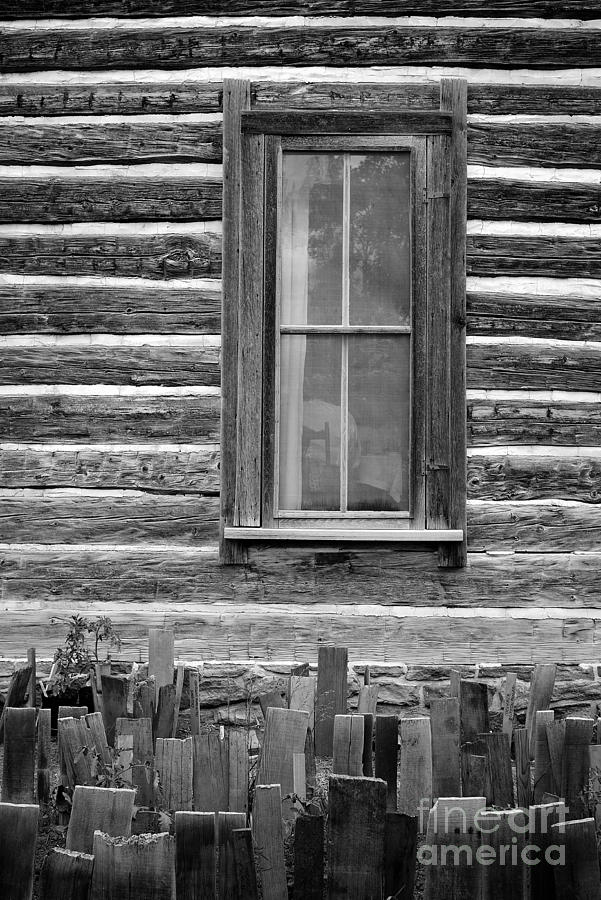 Home on the Range Photograph by Edward Fielding