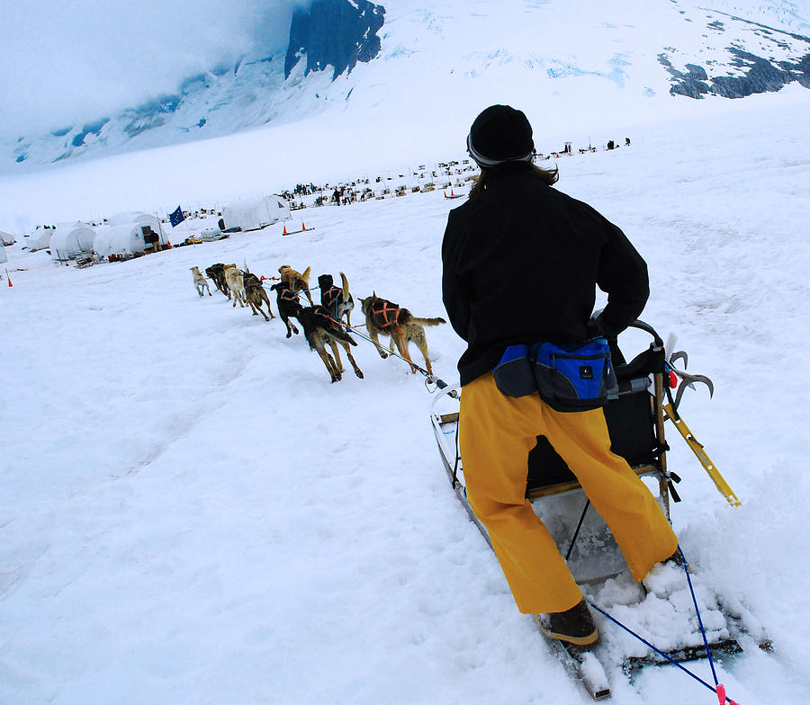 Mushing Photograph - Home Stretch by Preston Zeller